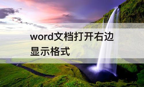 word文档打开右边显示格式