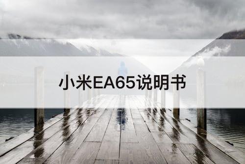 小米EA65说明书