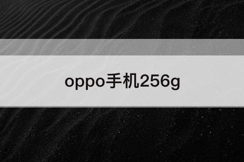 oppo手机256g