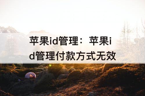 苹果id管理：苹果id管理付款方式无效