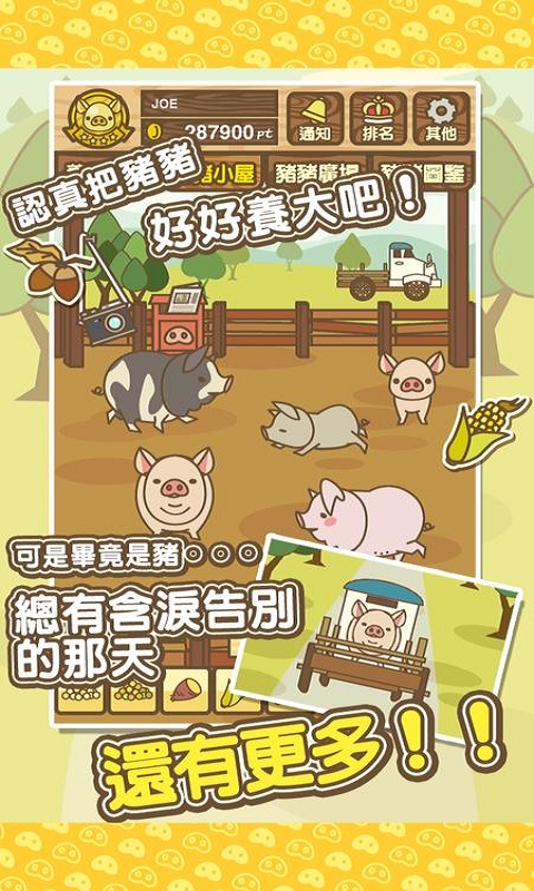 养猪场mix传承级猪种灰色  v8.2图2