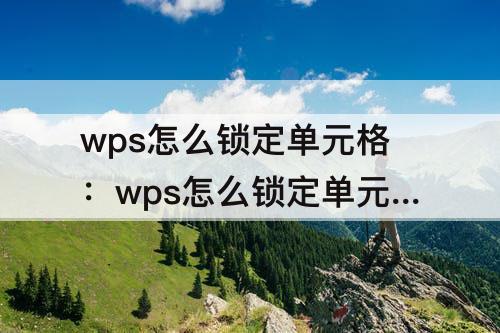 wps怎么锁定单元格：wps怎么锁定单元格内容